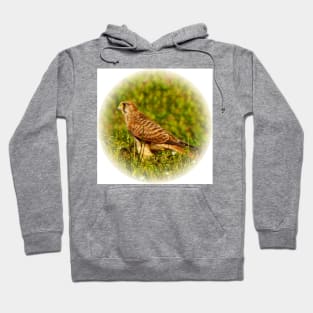 Kestrel Hoodie